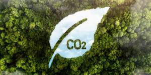 再生塑膠容器PCR